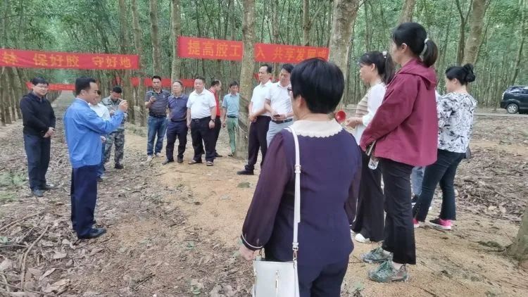 全国割胶冠军张健给各单元学员做尺度化胶园建设及割胶技术的经验介绍。.jpg