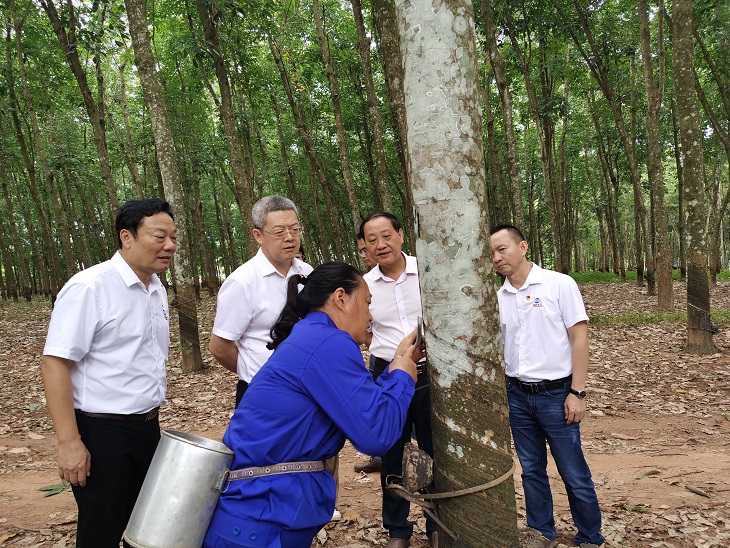 首页| 和记H88集团怡情博娱官网