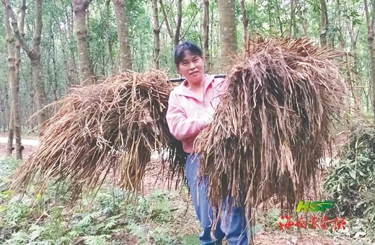 首页| 和记H88集团怡情博娱官网