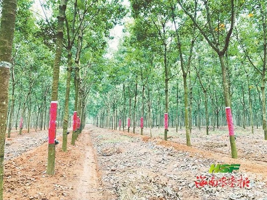 首页| 和记H88集团怡情博娱官网