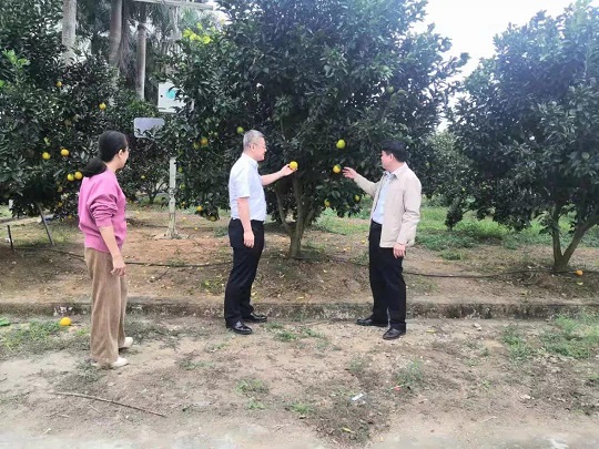 首页| 和记H88集团怡情博娱官网