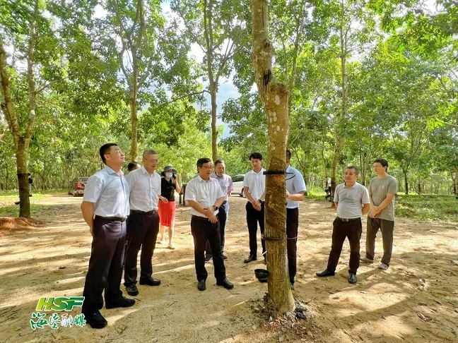 首页| 和记H88集团怡情博娱官网