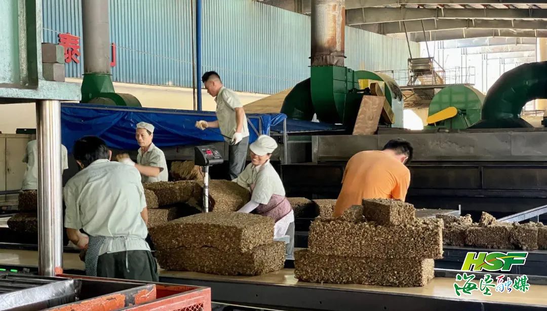首页| 和记H88集团怡情博娱官网