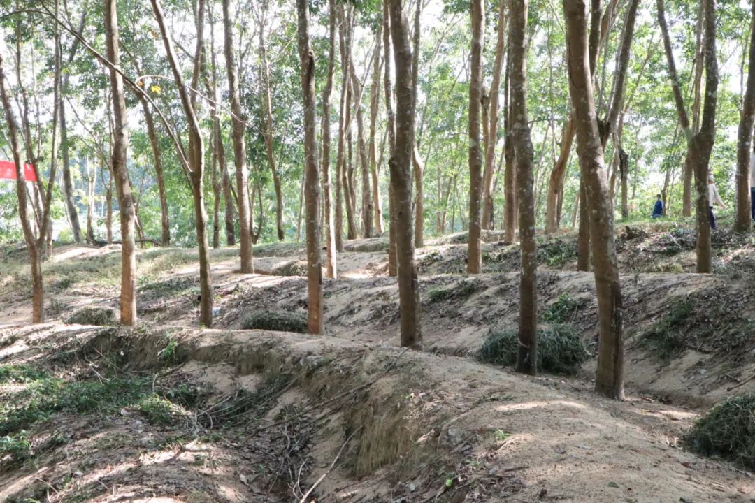 首页| 和记H88集团怡情博娱官网