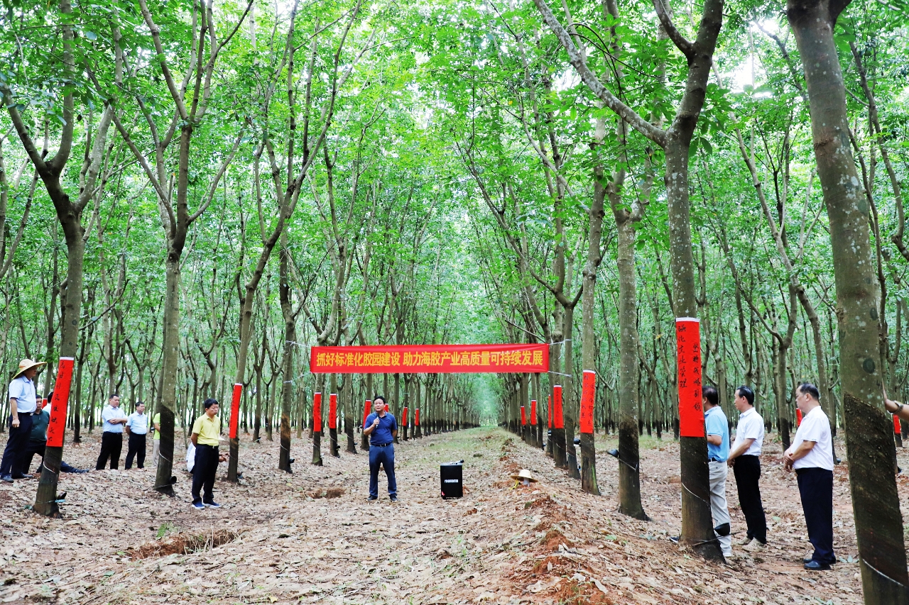 首页| 和记H88集团怡情博娱官网