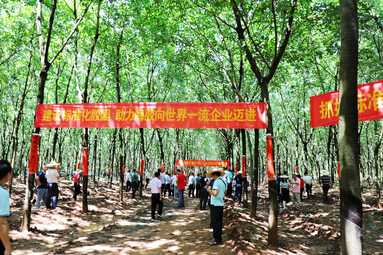 首页| 和记H88集团怡情博娱官网